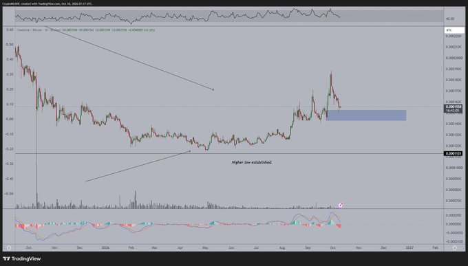 A TradingView chart of Chainlink (LINK) priced in Bitcoin (LINKBTC) on a daily timeframe, showing a descending channel followed by a breakout and consolidation, with a highlighted retest zone (shaded blue rectangle) around the 0.0000 BTC level as annotated "Higher low established"—visually supporting the post's view that the recent correction is merely a retest rather than a breakdown.