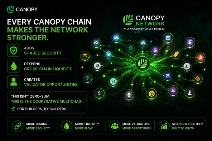 An infographic for 'CANOPY NETWORK - THE COOPERATIVE MULTICHAIN' explaining that 'Every Canopy Chain Makes the Network Stronger' by adding shared security, deepening cross-chain liquidity, and creating validator opportunities, featuring a network diagram connecting various cryptocurrency logos.