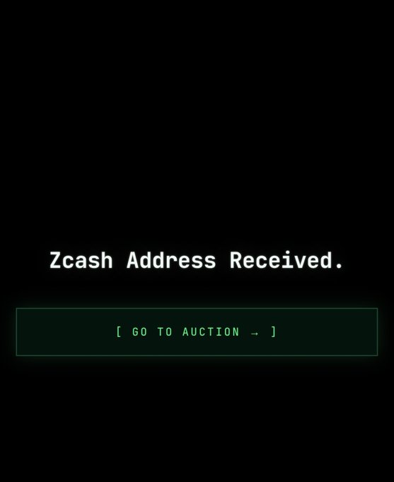A black screen with white text reading 'Zcash Address Received.' above a green button labeled '[ GO TO AUCTION → ]'.