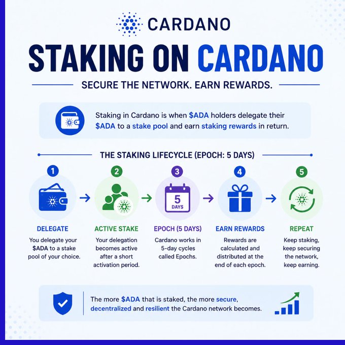 An infographic titled "Staking on Cardano" explaining the 5-day staking lifecycle: Delegate, Active Stake, Epoch, Earn Rewards, and Repeat, with the tagline "Secure the Network. Earn Rewards."