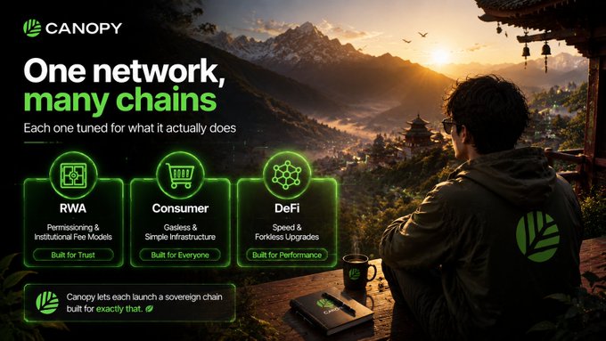 Canopy advertisement titled 'One network, many chains' highlighting three chains—RWA (Permissioning & Institutional Fee Models), Consumer (Gasless & Simple Infrastructure), and DeFi (Speed & Forkless Upgrades)—with a person overlooking a mountain village at sunset.