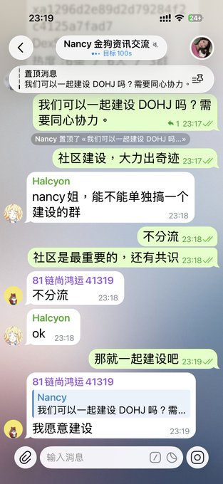 A Chinese chat group screenshot shows messages discussing building a DOHJ community, with a pinned message by Nancy reading '置顶消息 我们可以一起建设 DOHJ 吗？需要同心协力。'