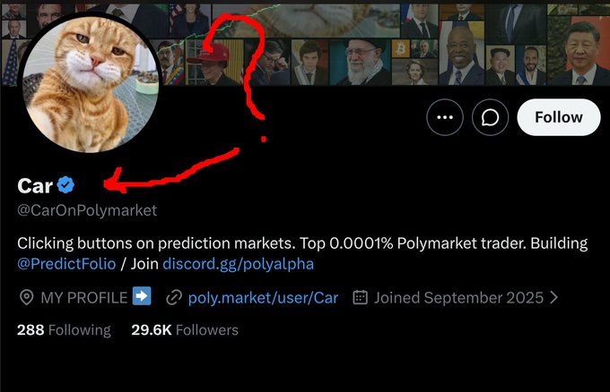 The user wants a concise caption describing the image and its relation to the provided text.

1.  **Analyze the image:**
    *   It's a screenshot of a Twitter (X) profile.
    *   The profile picture is an orange cat.
    *   The display name is "Car" with a blue verification checkmark.
    *   The handle is "@CarOnPolymarket".
    *   The bio says: "Clicking buttons on prediction markets. Top 0.0001% Polymarket trader. Building @PredictFolio / Join discord.gg/polyalpha".
    *   There is a red arrow pointing to the blue checkmark next to the name "Car".
    *   The "Follow" button indicates the viewer is not currently following.
    *   Stats: 288 Following, 29.6K Followers.
    *   Joined date: September 2025 (Wait, that's