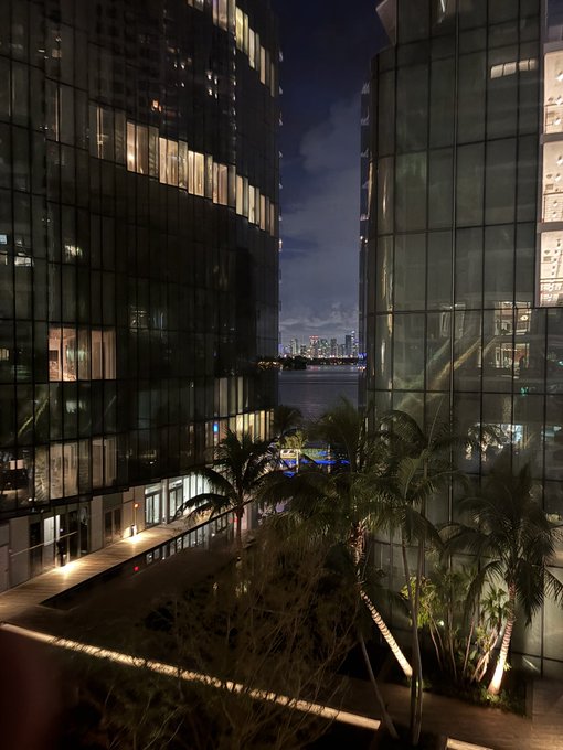 Nighttime view between two glass skyscrapers with palm trees and lit walkways, overlooking water and a distant city skyline.