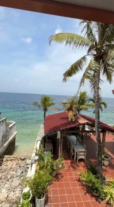 A scenic view from an elevated vantage point overlooking a tropical coastline, featuring a tiled terrace with potted plants, palm trees, and a small building with a red roof next to the turquoise ocean.