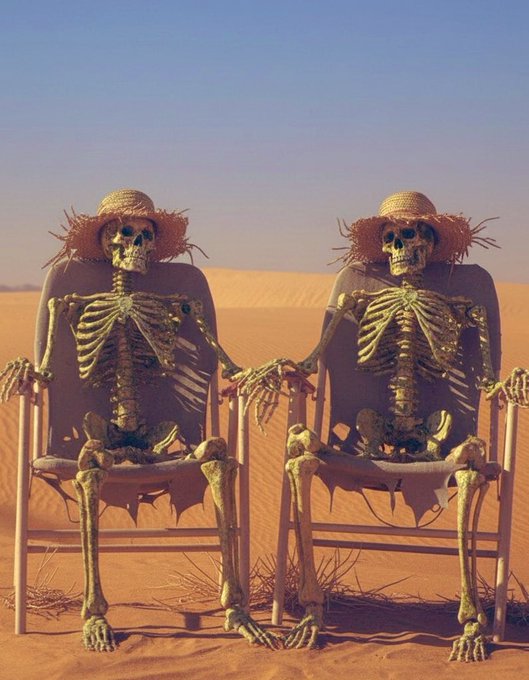A pair of skeleton bodies are sitting side-by-side, wearing straw hats that match each other's designs. They are positioned in front of a desert landscape, holding onto each other as they sit together in chairs. The image has been shared on social media platforms with the caption "$LUNC holders are waiting for the price to skyrocket".
