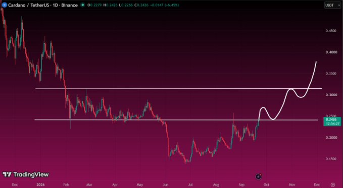 A Cardano (ADA) trading chart on Binance showing price at $0.2426 with a 5.43% gain, featuring a hand-drawn white curved line indicating a potential bullish pattern.