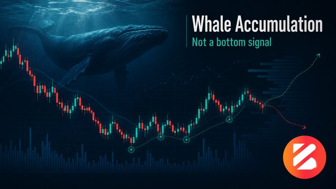 A dramatic image showing a large whale swimming above an underwater candlestick chart, with the headline "Whale Accumulation: Not a bottom signal" and a dashed trend line highlighting the cautionary message that whale buying indicates smart-money positioning rather than confirmation that prices have bottomed.