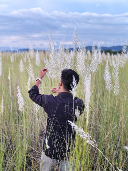 A man with dark hair stands with his back to the camera in a field of tall grass, reaching up toward the feathery white plumes under a cloudy sky.