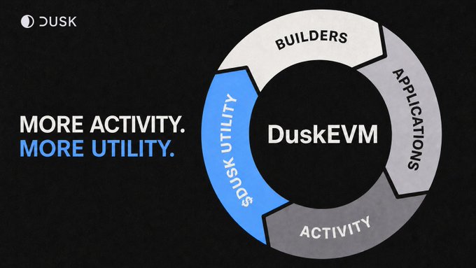A promotional graphic for DuskEVM featuring a circular diagram that illustrates the ecosystem flywheel: Builders → Applications → Activity → $DUSK Utility, accompanied by the tagline "MORE ACTIVITY. MORE UTILITY." and the Dusk logo.