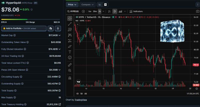 Hyperliquid trading interface showing HYPE/USDT price at $78.06 (down 0.9%), with a candlestick chart on the right displaying price action and a whale icon in the upper right corner.