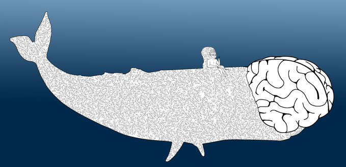The image features a white whale with a brain sticking out of its head, giving the impression that the whale has a human-like brain attached to its body. The caption below the image reads "We hodl because we know what we hold. There is no second best meme." This statement emphasizes the importance and uniqueness of the image as it relates to the post about memes.