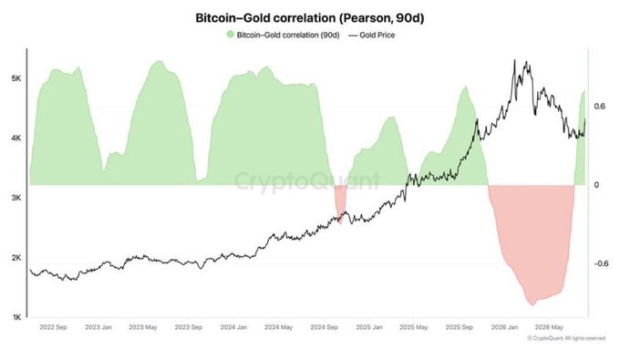 The image is a chart titled "Bitcoin-Gold correlation (Pearson, 90d)" showing the 90-day Pearson correlation between Bitcoin and gold (shaded area, ranging from -0.6 to 0.6 on the right axis) alongside Gold Price (black line, ranging from 1K to 5K on the left axis) from late 2022 through mid-2025, with the watermark "CryptoQuant." The correlation dipped sharply into negative territory (around -0.6) in late 2025 but has recently rebounded back into positive territory near 0.6, visually supporting the post's claim that BTC-gold correlation has strengthened again.