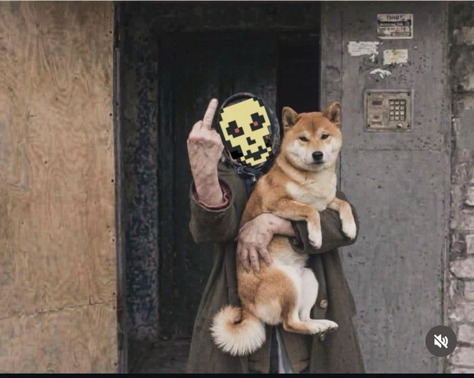 urns of gold and silver, a wooden door, and a brick wall with graffiti create an urban setting for the person holding a brown dog.