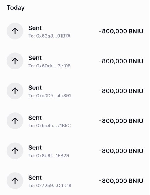 A cryptocurrency transaction history showing multiple 'Sent' transactions of -800,000 BNIU each to various wallet addresses (0x63a8..., 0x6Ddc..., etc.) listed under 'Today'.