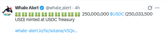 A tweet from Whale Alert (@whale_alert) reporting that 250,000,000 USDC (250,033,500 USD) was minted at USDC Treasury, with a link to whale-alert.io/tx/solana/v5Qv...