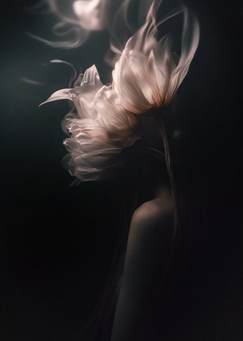 A dark, ethereal photograph or render shows a silhouette of a person's upper body with wispy, smoke-like tendrils forming what resembles a flower or wings rising from their head.