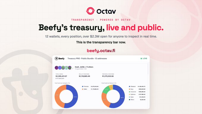 Octav promotional banner advertising Beefy's transparency portal, stating 'Beefy's treasury, live and public' at beefy.octav.fi with over $2.3M open for real-time inspection.