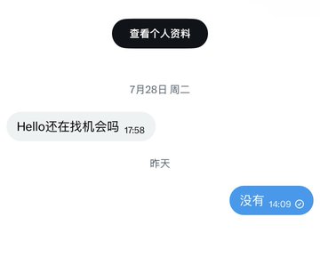 A Chinese chat interface shows a message 'Hello还在找机会吗' at 17:58 followed by a reply '没有' at 14:09, with date markers for July 28 (Tuesday) and yesterday.