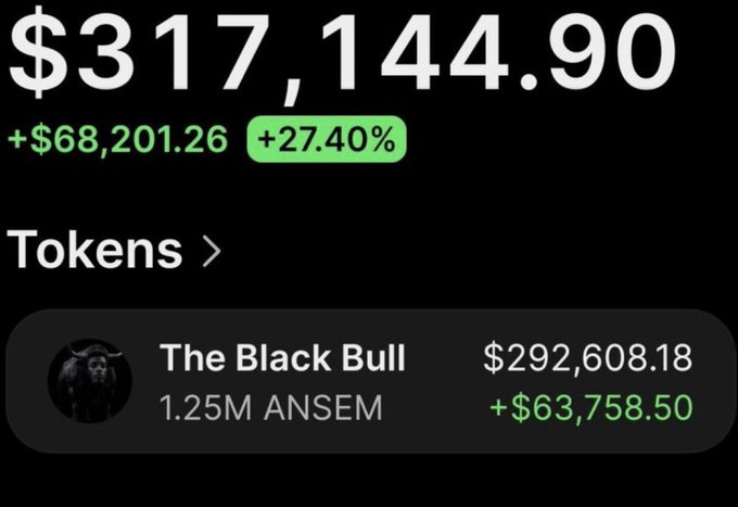A portfolio screenshot displays a total value of **$317,144.90** (up **+$68,201.26**, +27.40%), with "The Black Bull" holding **1.25M ANSEM** tokens worth **$292,608.18** (up **+$63,758.50**). The image visually supports the post's claim of a trader flipping a small initial investment into over $300,000 by following the ANSEM call.