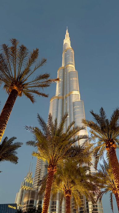 A low-angle photograph of the Burj Khalifa skyscraper in Dubai framed by palm trees against a clear blue sky during golden hour.