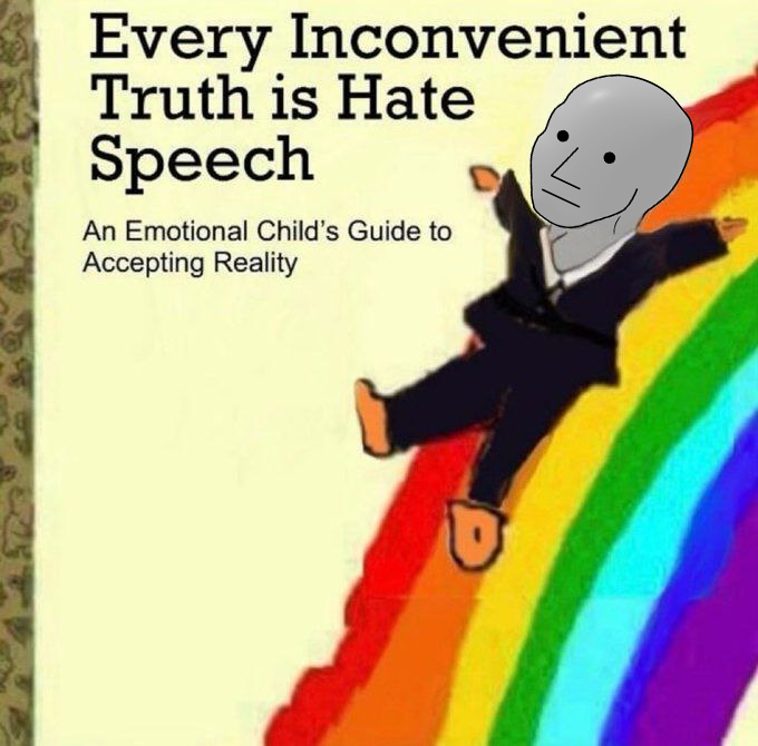 A meme image styled as a children's book cover titled 'Every Inconvenient Truth is Hate Speech: An Emotional Child's Guide to Accepting Reality,' featuring the 'NPC Wojak' character sliding down a rainbow.