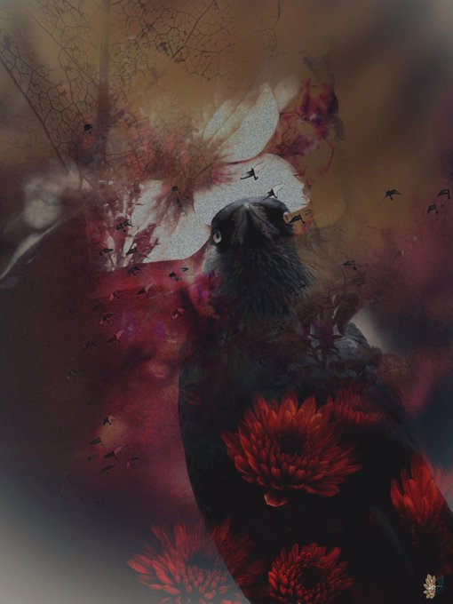 A dark, moody digital artwork featuring a raven or crow with its beak open, surrounded by swirling red smoke, birds in flight, and red chrysanthemum flowers against a dark background.