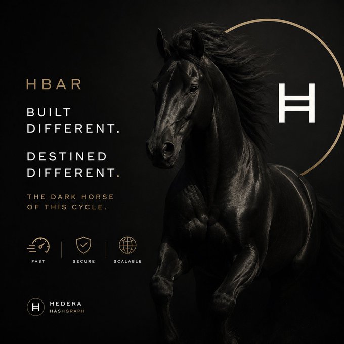 A sleek black stallion dominates the dark promotional image for Hedera Hashgraph ($HBAR), emblazoned with the tagline "BUILT DIFFERENT. DESTINED DIFFERENT. THE DARK HORSE OF THIS CYCLE." alongside icons emphasizing speed, security, and scalability. The powerful imagery of the dark horse perfectly reinforces the post's narrative of $HBAR being an overlooked, quietly accumulating asset poised for outsized gains—fittingly positioning HBAR as the "dark horse" the market is undervaluing during the current cycle.