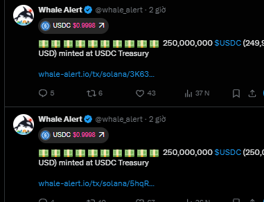 Twitter posts from Whale Alert (@whale_alert) reporting large USDC minting transactions, including '250,000,000 $USDC (249,900,000 USD) minted at USDC Treasury' and another '250,000,000 $USDC' transaction.