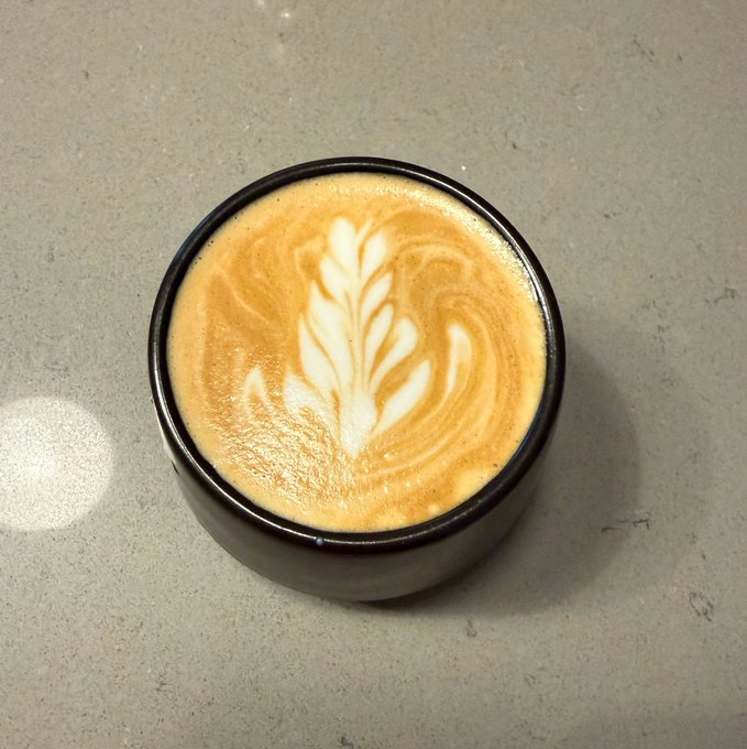 An overhead view of a black ceramic cup containing a latte with intricate leaf-patterned latte art on a gray countertop.