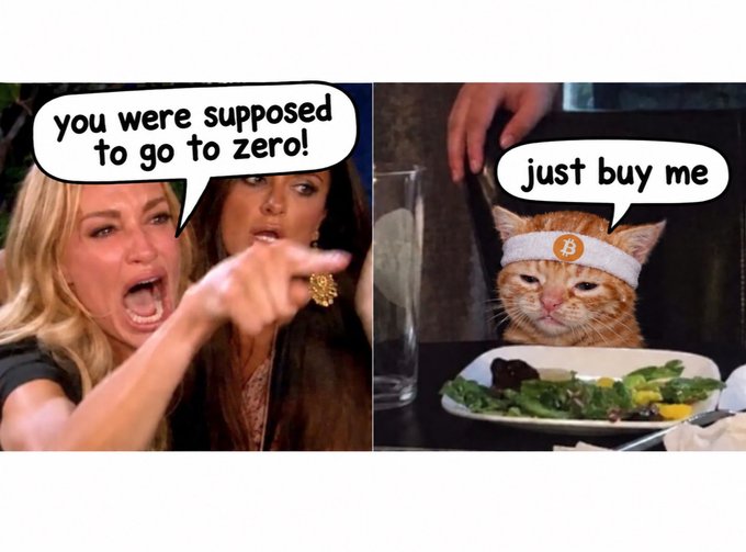 A two-panel meme featuring a screaming Real Housewives cast member saying 'you were supposed to go to zero!' and a cat wearing a Bitcoin headband saying 'just buy me.'