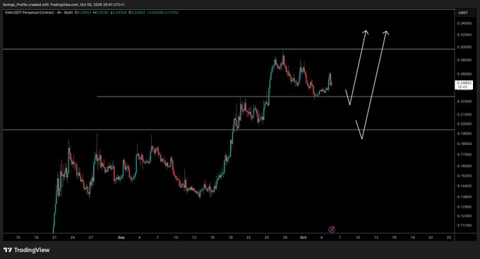 A TradingView 4-hour chart of ENA/USDT Perpetual Contract (Bybit) showing price action around $0.293, with hand-drawn white arrows suggesting a potential dip to either the current support or $0.195 before a rally, matching the post's question about identifying the bottom level.