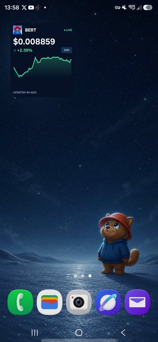 A smartphone home screen with a starry night wallpaper featuring an animated orange cat character wearing a red hat and blue hoodie, displaying a stock/crypto widget for ticker 'BERT' at $0.008859 (+2.39%).