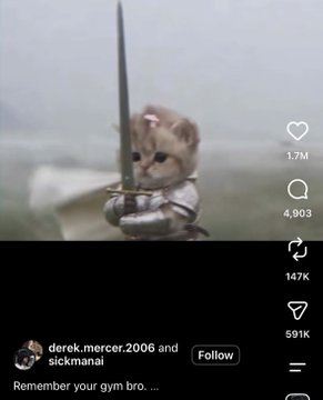 A TikTok video still showing a kitten dressed in medieval armor holding a sword, with the caption 'Remember your gym bro ...' and the account 'derek.mercer.2006 and sickmanai'.