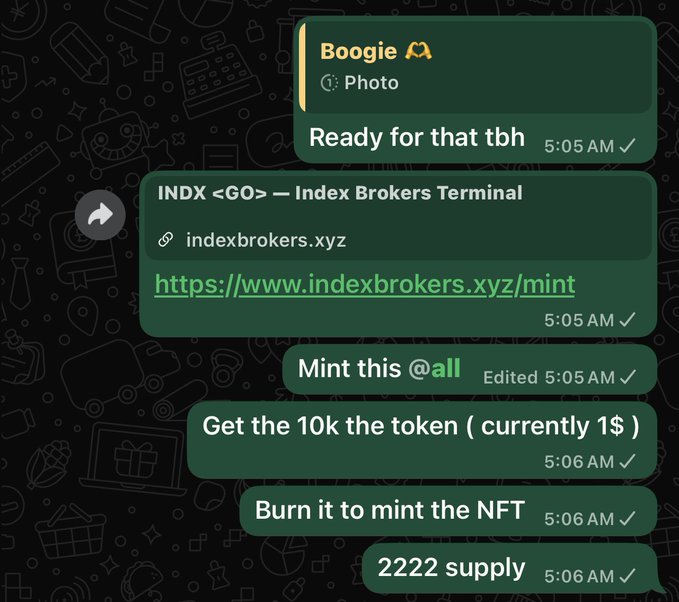 A WhatsApp chat screenshot from "Boogie" sharing details about an "INDX <GO> — Index Brokers Terminal" NFT public mint at indexbrokers.xyz/mint, where participants can mint by burning 10,000 tokens (currently $1) to receive one of 2222 NFTs, with a limit of 2 per wallet as noted in the accompanying post.