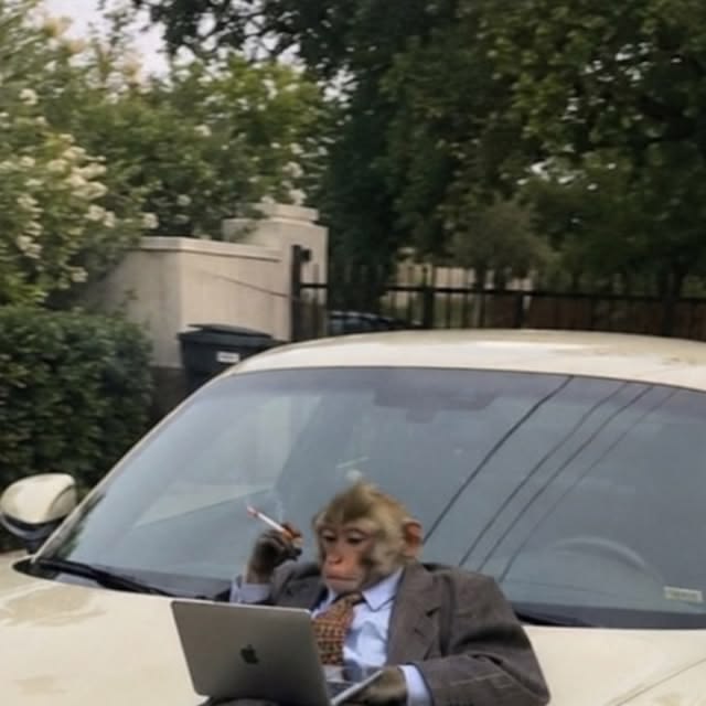 A monkey wearing a business suit and tie sits behind a car windshield, smoking a cigarette while working on a MacBook laptop.