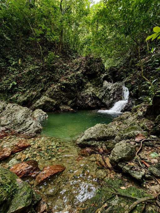 A small waterfall cascades into a clear emerald pool surrounded by mossy rocks and lush green foliage in a serene rainforest setting. The tranquil natural scene pairs with the post's message of staying grounded and appreciating quiet, peaceful moments while remaining alert for what's ahead.