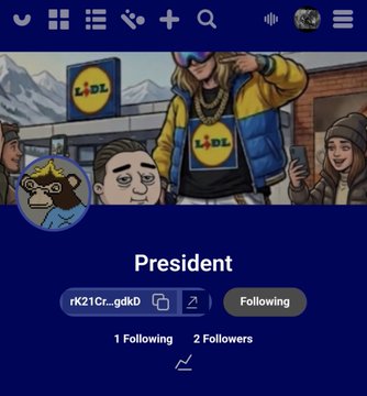 A mobile app profile page for a user named 'President' (rk21Cr--gdkD) shows '1 Following' and '2 Followers,' featuring an illustrated cartoon image of characters at a Lidl store.