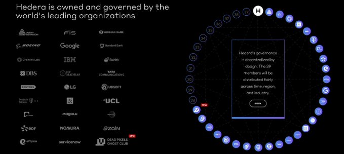 An informational graphic stating 'Hedera is owned and governed by the world's leading organizations,' displaying various company logos like Boeing, Google, IBM, and Deutsche Bank alongside a circular diagram of 39 governing members.