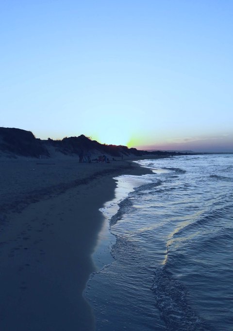 A serene beach at dusk with gentle waves rolling onto the sandy shore and silhouetted dunes in the background, evoking the calm, reflective mood of a "good morning" greeting as the #WavesSyntax collection continues its journey.