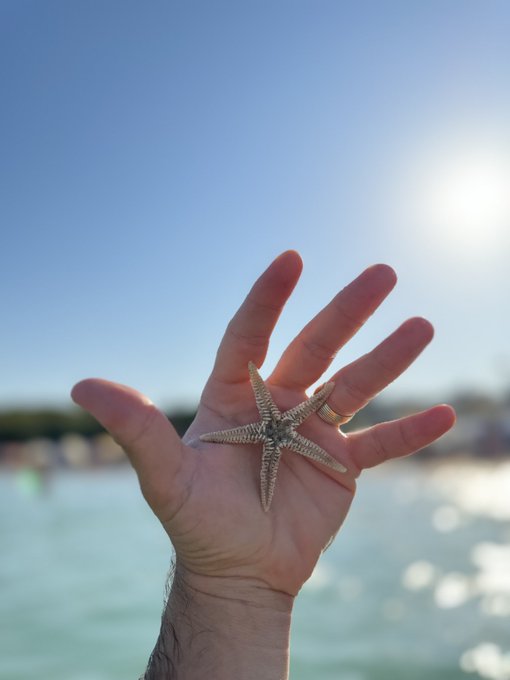 A hand is held up against a bright sky and ocean backdrop, displaying a starfish with its distinctive five-arm shape. The sun shines brightly in the background, creating a warm glow over the beach scene.