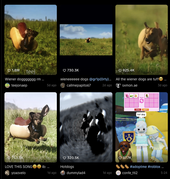 The image shows a collection of various pictures featuring dogs, including a dog with hotdogs on its head, another dog running around grassy fields, and an animated image with dogs interacting in different poses. The picture also features several other social media posts related to dog-themed content. In the post's comments section, there are numerous likes, thumbs up, emojis, and mentions of different dog breeds and accessories. The overall context suggests that this is a discussion or celebration about dogs, likely including pictures and stories shared on various platforms like Instagram and Twitter.
