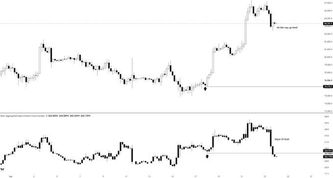 A TradingView financial chart shows price action with annotations 'All the way up here!' and 'Major Oi flush' marking significant price movements.