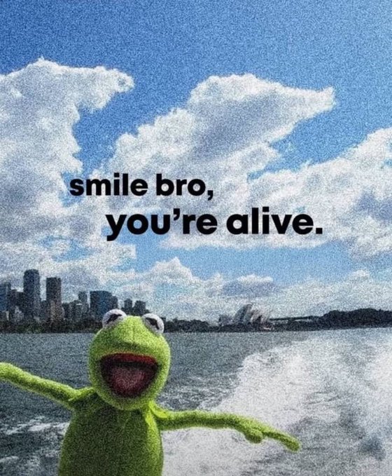 A Kermit the Frog meme edited onto a boat wake with a Sydney skyline background and the text "smile bro, you're alive."