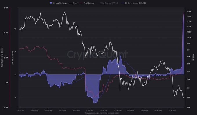 A CryptoQuant chart tracks Bitcoin's price (white line) alongside Total Balance and 30-day % change metrics in whales holding 100–1,000 BTC, spanning July 2025 through June 2026 with prices ranging from roughly $60K to $120K, visually supporting the claim of record-breaking whale accumulation as significant spikes in the blue percentage change align with notable price movements.