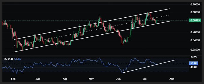 TradingView chart showing a cryptocurrency in an ascending channel pattern from February to August, with RSI at 51.86 and price around 0.50299.
