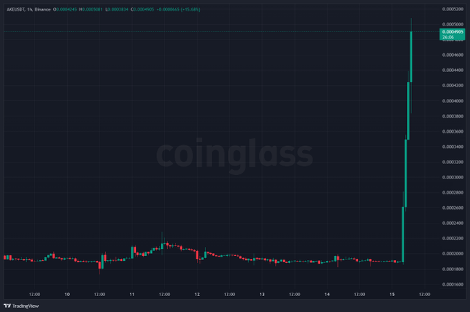 A TradingView candlestick chart from coinglass for 'AXEUSDT' on Binance showing a dramatic, near-vertical price spike on the right side of the graph, with values reaching 0.0004900.
