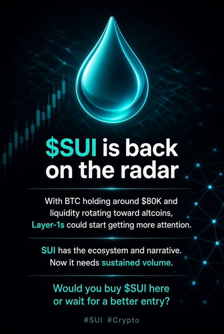 A promotional graphic with a glowing blue water drop reads '$SUI is back on the radar', discussing BTC holding around $80K and liquidity rotating to altcoins, tagged #SUI #Crypto.