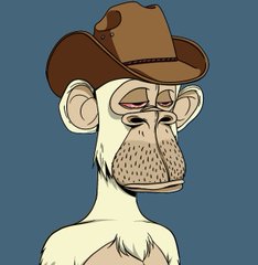 A cartoon illustration shows a chimpanzee wearing a brown cowboy hat against a blue background.