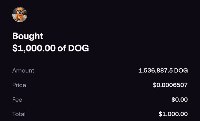 The image features a screen with a dark grey background, providing a stark contrast to the black text displayed. The dominant element of the image is the black text that reads "Bought $1,000.,000.00 of DOG". This text is centered within the frame and stands out clearly against the white background. There are no other objects or elements in the scene besides the screen with its text.